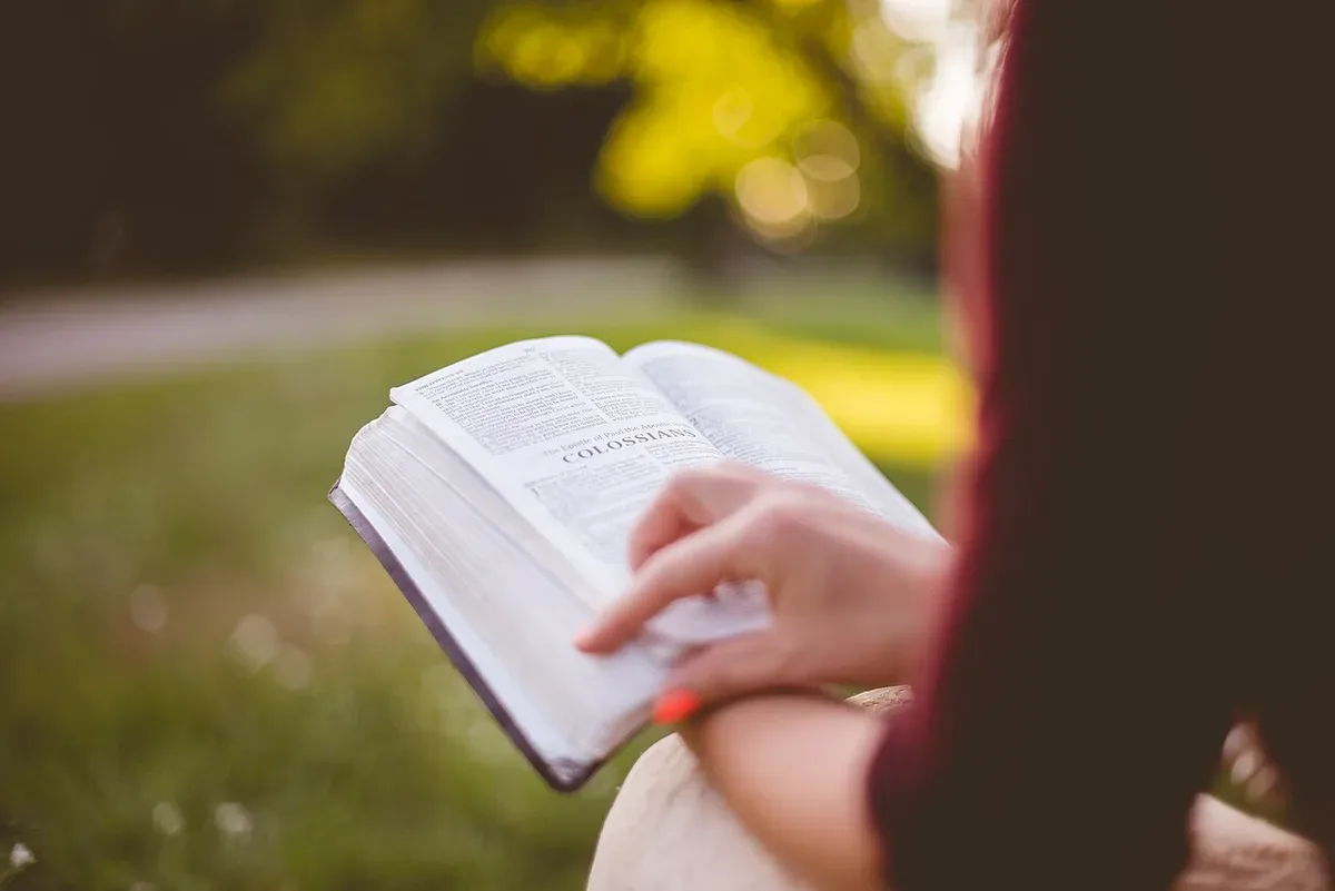 A person reading a book